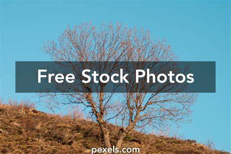 Download & Save Kantotin Videos Fast & Free! .